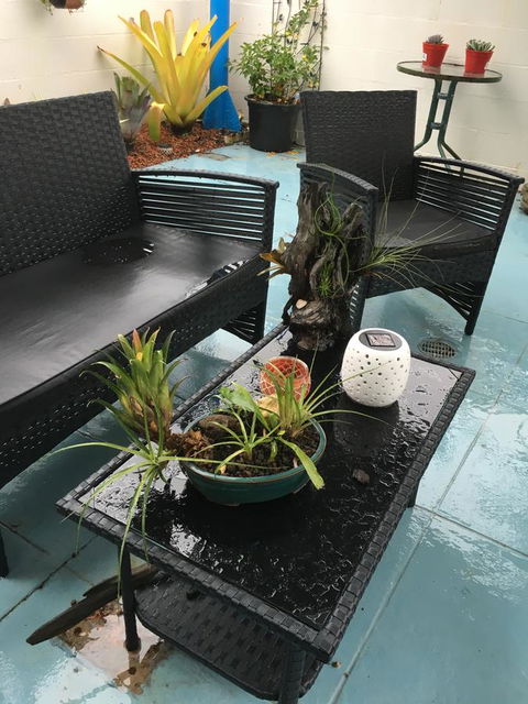 Black Marlin Motel - Tourism Cairns 3