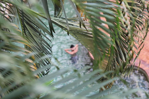 Coral Tree Inn - Tourism Cairns 36