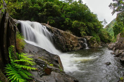 Coral Tree Inn - Tourism Cairns 40