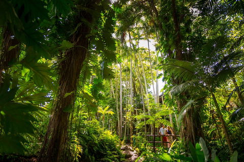 Cairns Colonial Club Resort - Tourism Cairns 22
