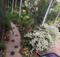 Casuarina - Tourism Cairns