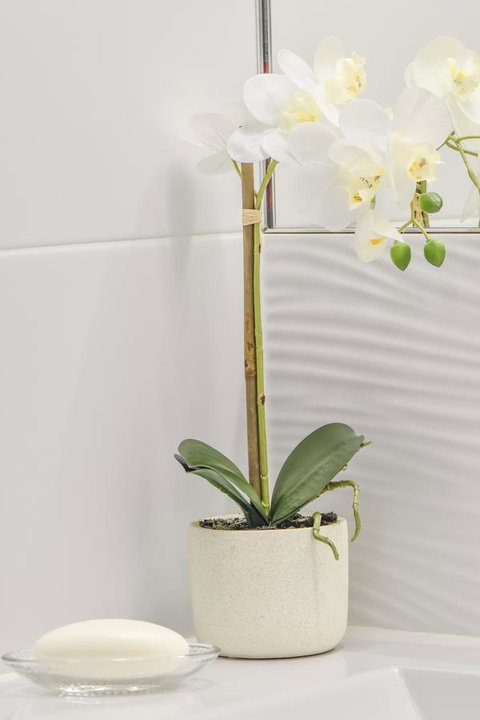 The Guesthouse Maleny - Tourism Cairns 32