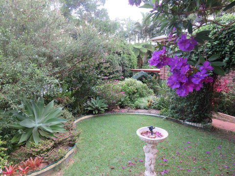 Shasta Place - Tourism Cairns 4