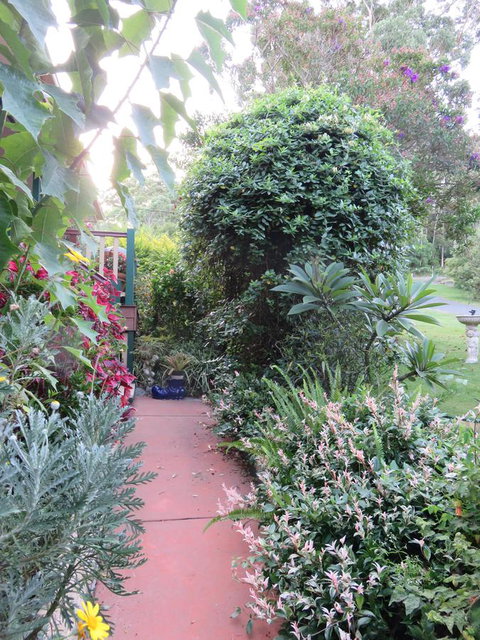 Shasta Place - Tourism Cairns 5