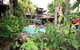 Hibiscus Resort & Spa - Official Onsite Reception & Check In - thumb 36