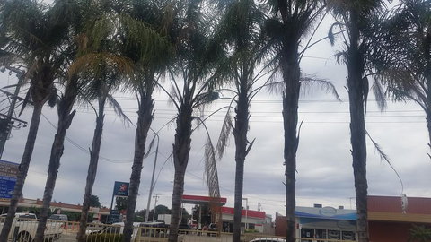 Wentworth Club Motel - Tourism Cairns 2