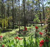 Werekataba - Tourism Cairns