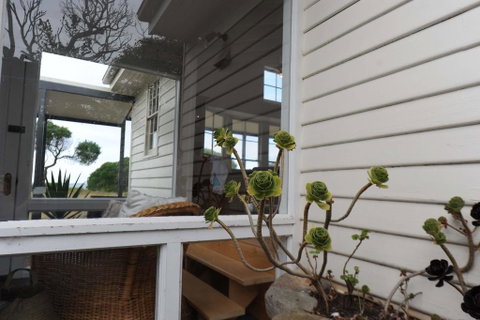 White Shell Cottage - Tourism Cairns 3