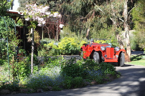 Wintarni Olives Cottage - Tourism Cairns 1