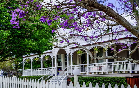 Wiss House Bed & Breakfast - Tourism Cairns 2