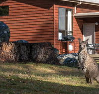 Wonderland Cottages - Tourism Cairns