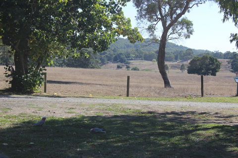 Wonky Stables Holiday Park - Tourism Cairns 2