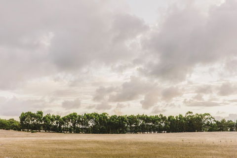 Yallingup Lodge Spa Retreat - Tourism Cairns 0