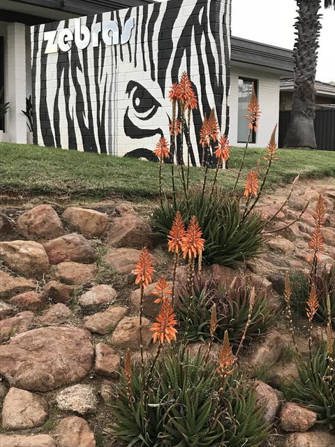 Zebras Guest House Geraldton - Tourism Cairns 1