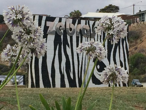 Zebras Guest House Geraldton - Tourism Cairns 0