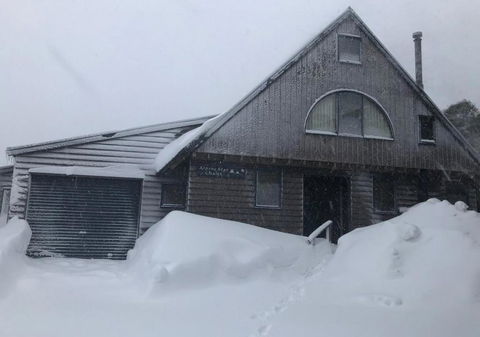 Alpine Star - Tourism Cairns 0