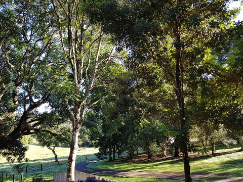 Bee-Haven Cottage - Tourism Cairns 7