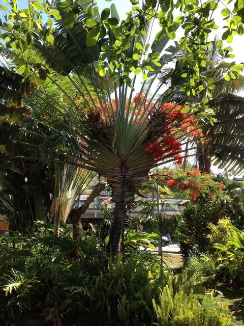 Port Douglas Apartments - Adults Only Oasis - Tourism Cairns 39