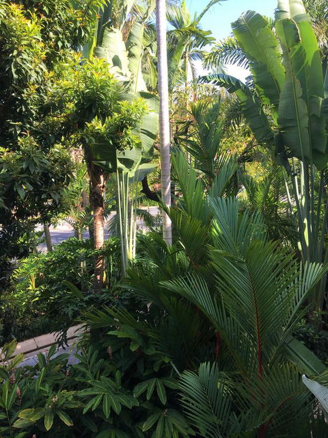Port Douglas Apartments - Adults Only Oasis - Tourism Cairns 1