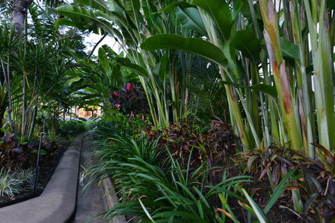 Port Douglas Apartments - Adults Only Oasis - Tourism Cairns 9