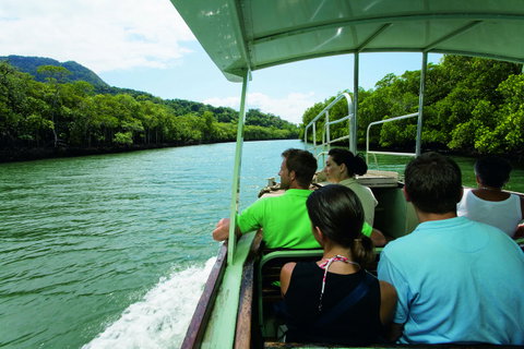 Martinique On Macrossan - Tourism Cairns 28