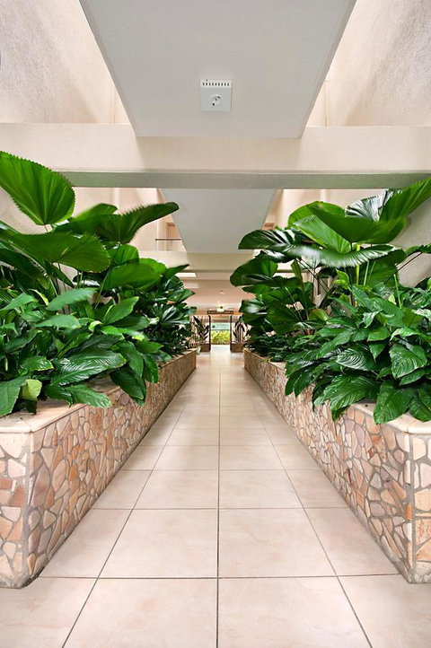 Shantara Resort Port Douglas - Adults Only Retreat - Tourism Cairns 27