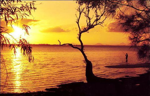 Waterfront At White Patch - Tourism Cairns 23