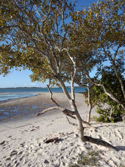 Modern Beach Villa - Tourism Cairns 15