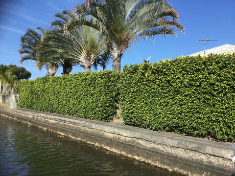 Private Canal Duplex With Pontoon - Oleander Drive, Bongaree - Tourism Cairns 8