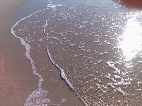 Close To Surf Beach, Surf Club, Hotel And Shops - Boyd St, Woorim - Tourism Cairns 10
