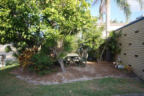 Bird Song - Tourism Cairns 1