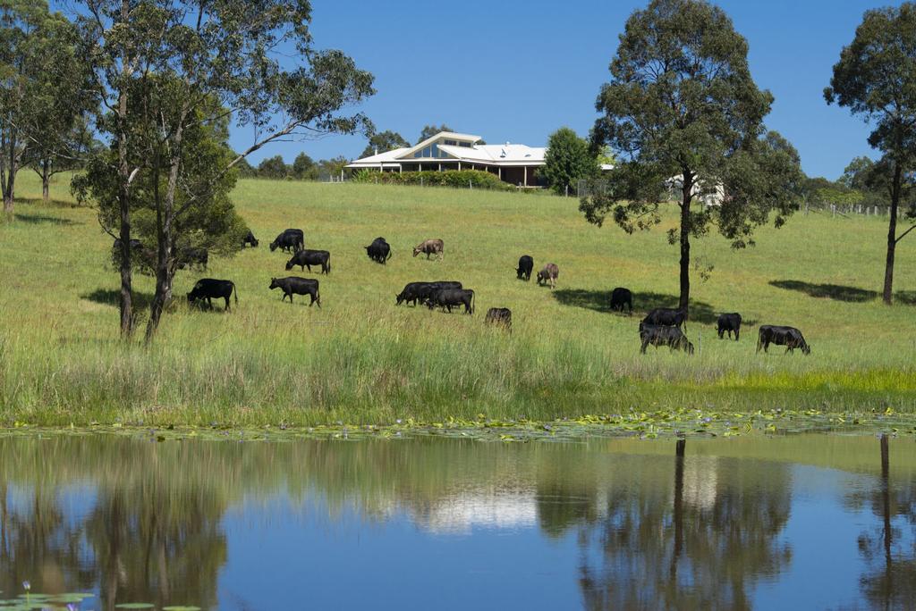 Nerong NSW Tourism Cairns