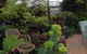 Butlers Guesthouse - thumb 0