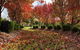 Claret Lodge Modern Country Retreat - thumb 0