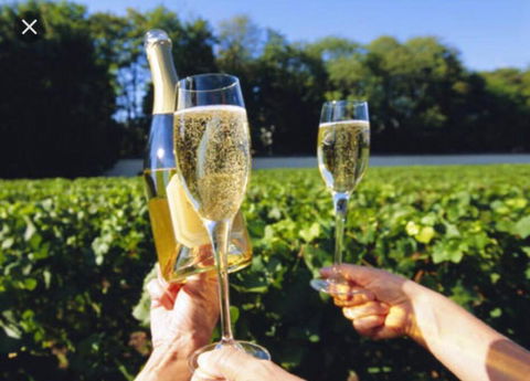 D104 Winston Fresh Fantastic - Tourism Cairns 4