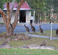 31 The Rocks - Tourism Cairns