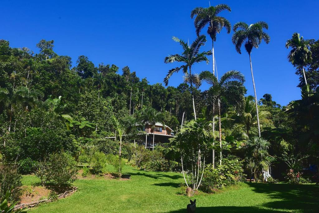 Diwan QLD Tourism Cairns
