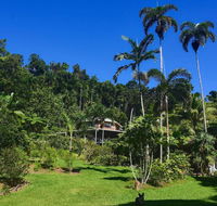 A Daintree Garden - Tourism Cairns