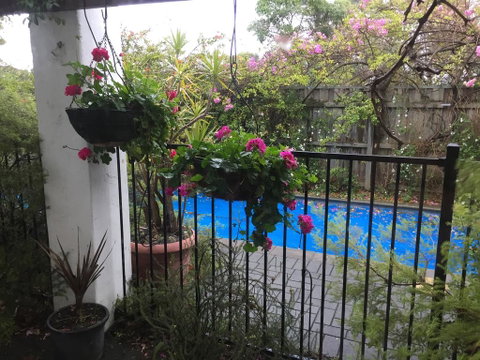 Aarn House B&B Airport Accommodation - Tourism Cairns 3