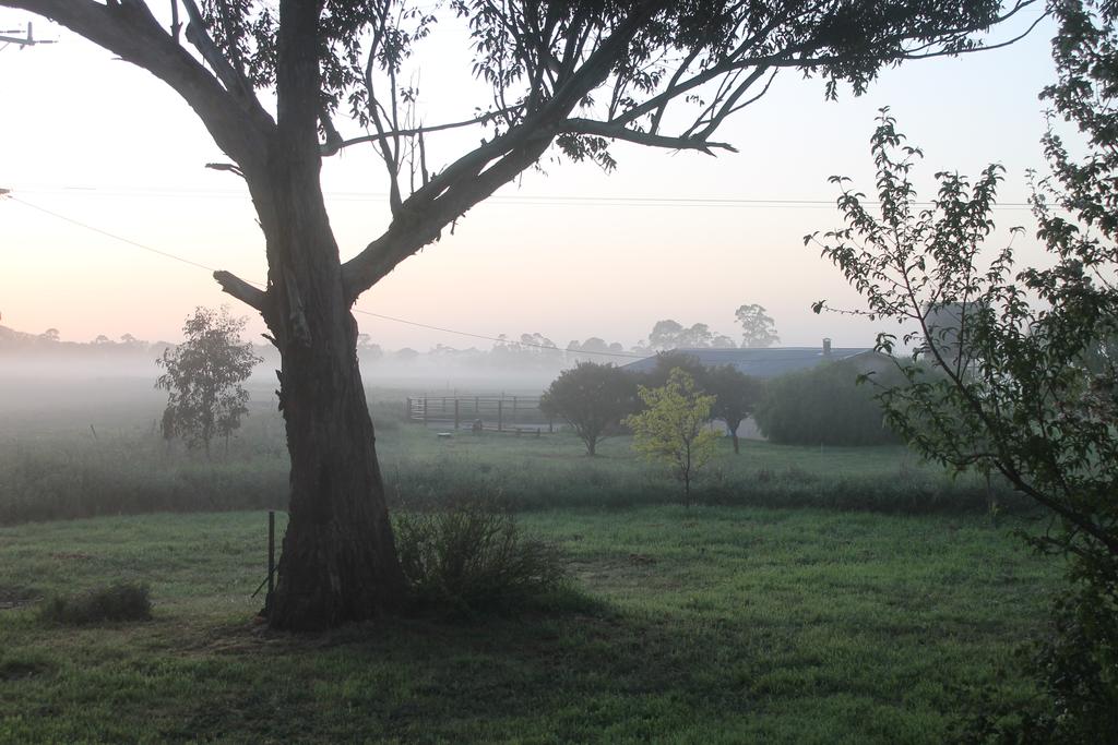 Licola North VIC Tourism Cairns
