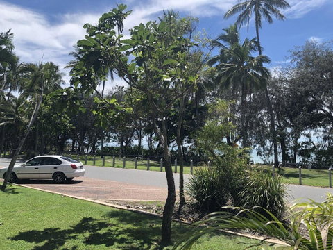 Absolute Beachfront - Tourism Cairns 3