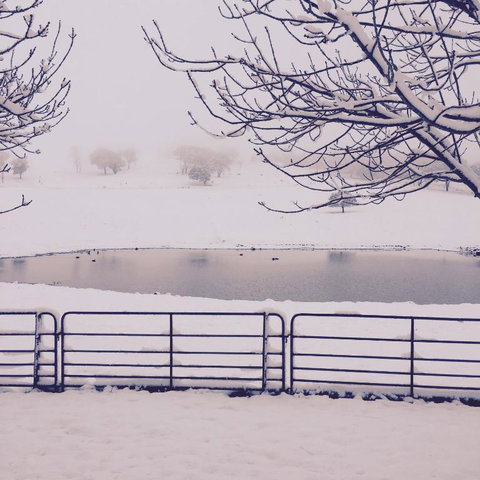 Drayshed Cottage - Tourism Cairns 4