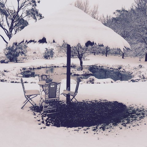 Drayshed Cottage - Tourism Cairns 3