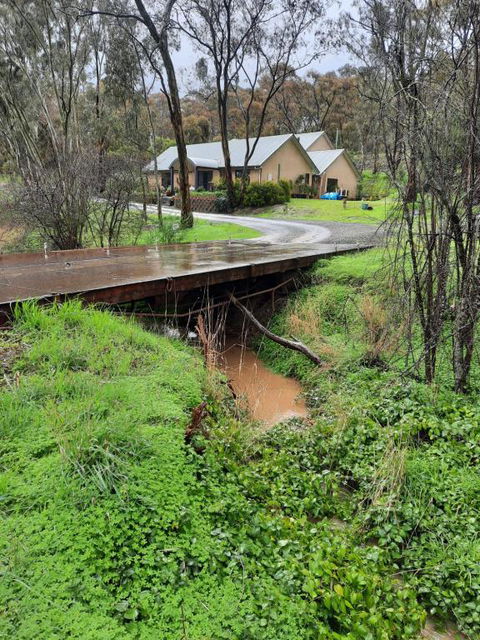 Frogmouth Hollow - Tourism Cairns 4