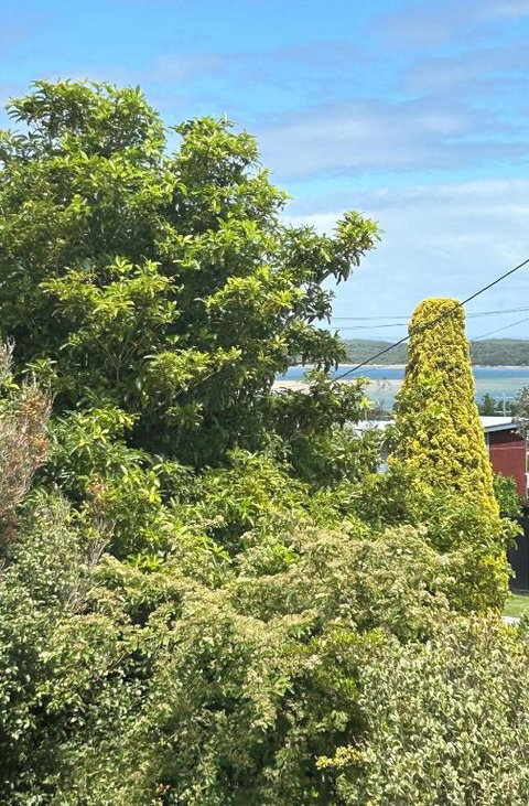 Iconic Beach House On Bruce - Tourism Cairns 1