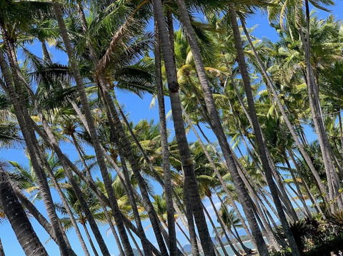 IMPORTANT MESSAGE This Property Is Not Currently Available For Holiday Letting - Tourism Cairns 1