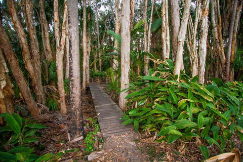 Agnes Palms Accommodation - Tourism Cairns 0