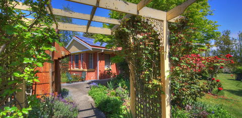 Alexandria Bed And Breakfast - Tourism Cairns 3