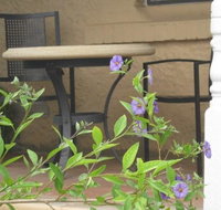 Amalie Cottage Waikerie - Tourism Cairns