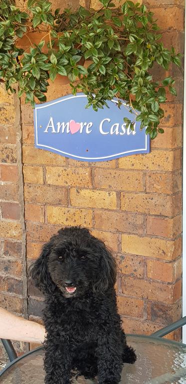 Amore Casa Tenterfield - Tourism Cairns 2